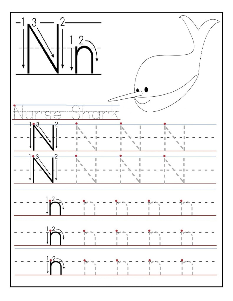 Letter N Worksheets For Preschool And Kindergarten Preschool And 