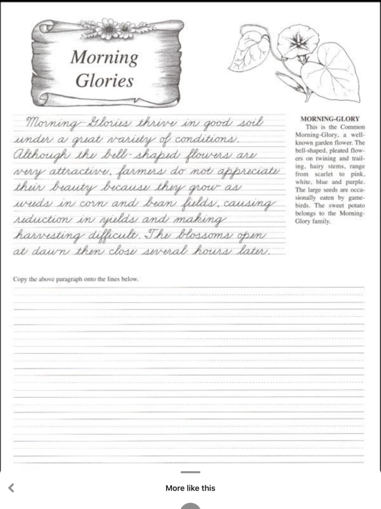 Pin By Olivia Mireles On At Home School House Cursive Writing 