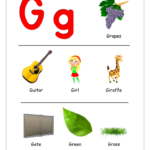 Things That Start With G Alphabet Printable Worksheet For G Alphabet