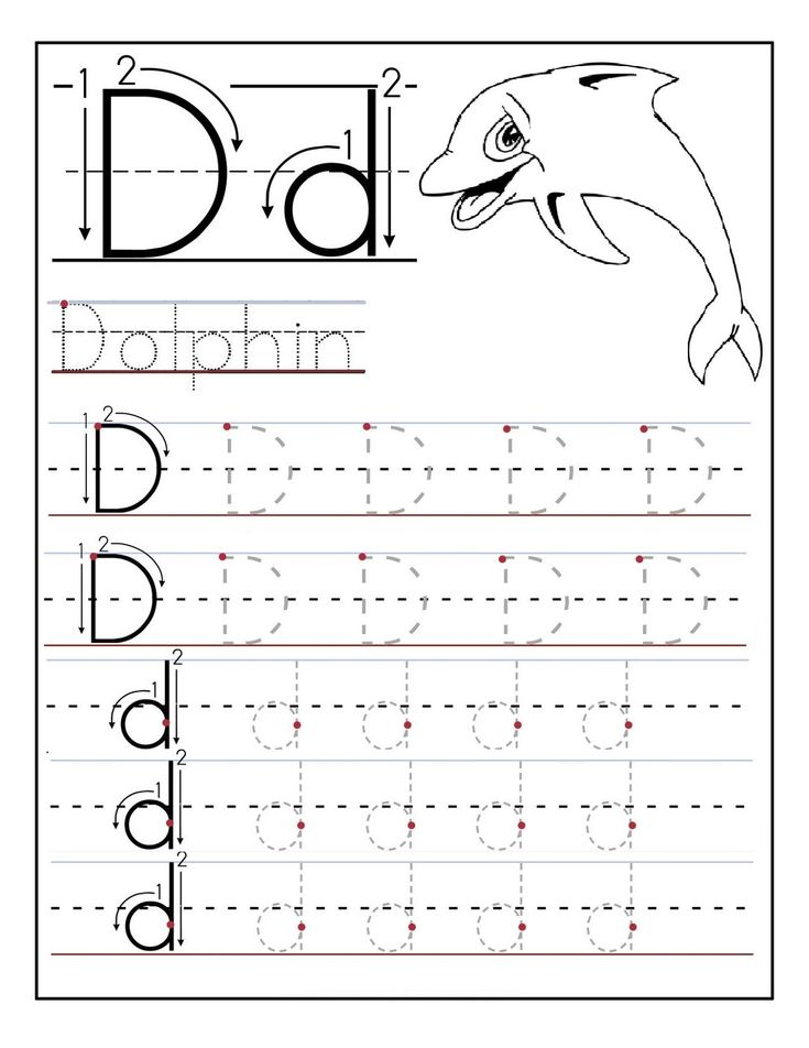 Worksheet For Kindergarten Letter D