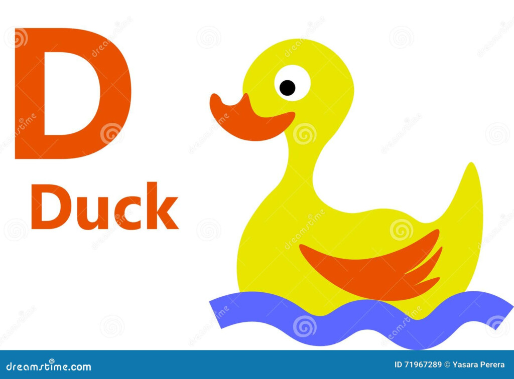 English Alphabet Letter D For Duck Stock Illustration Illustration Of 