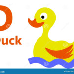 English Alphabet Letter D For Duck Stock Illustration Illustration Of