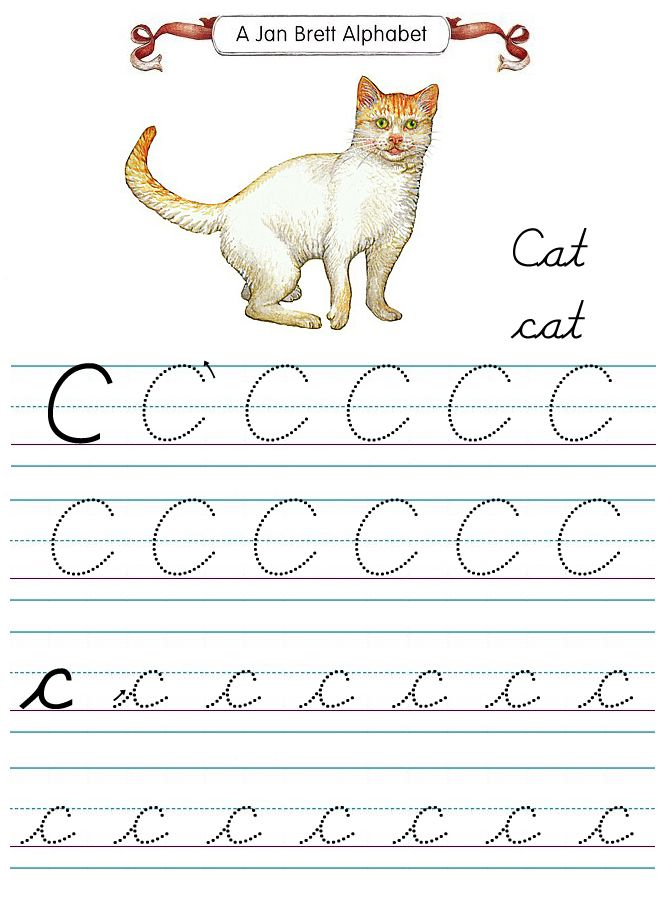 Jan Brett s Cursive Tracers C Cursive Writing Practice Sheets