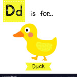 Letter D Tracing Duck Royalty Free Vector Image