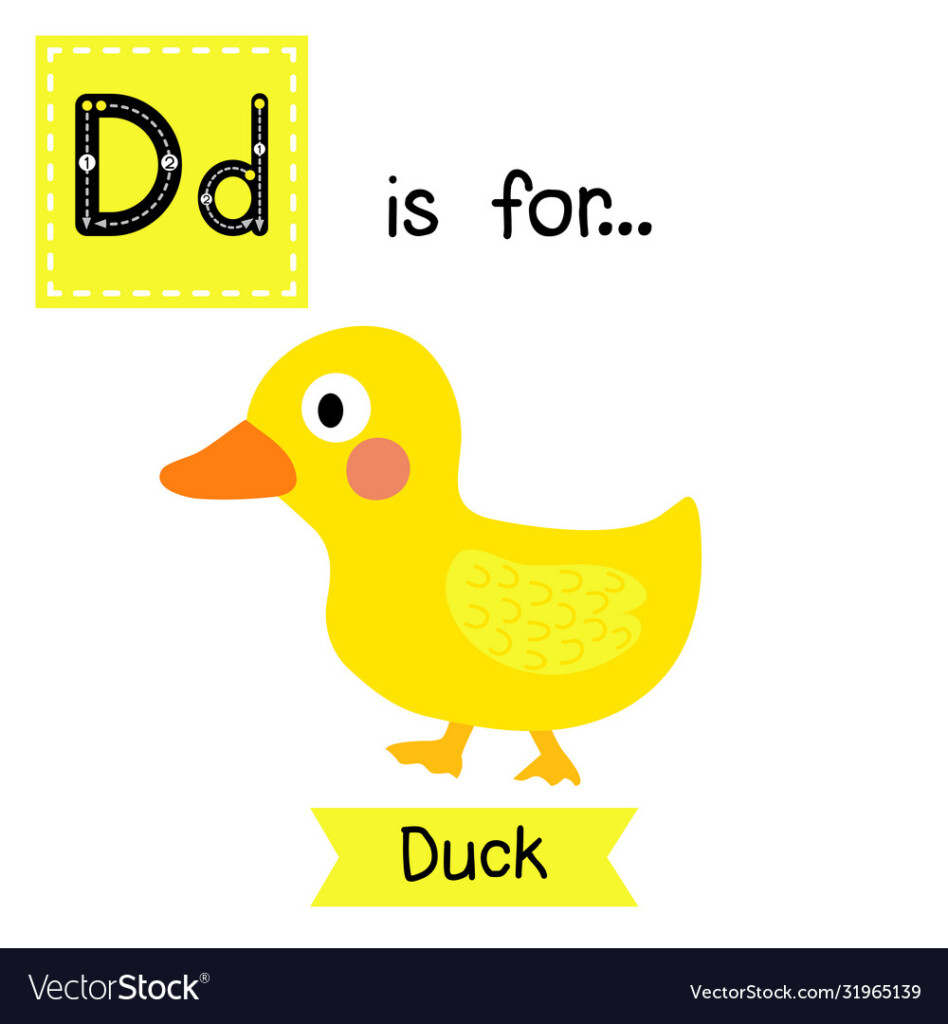 Letter D Tracing Duck Royalty Free Vector Image