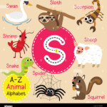 Cute Children Zoo Alphabet S Letter Tracing Of Funny Animal Cartoon For