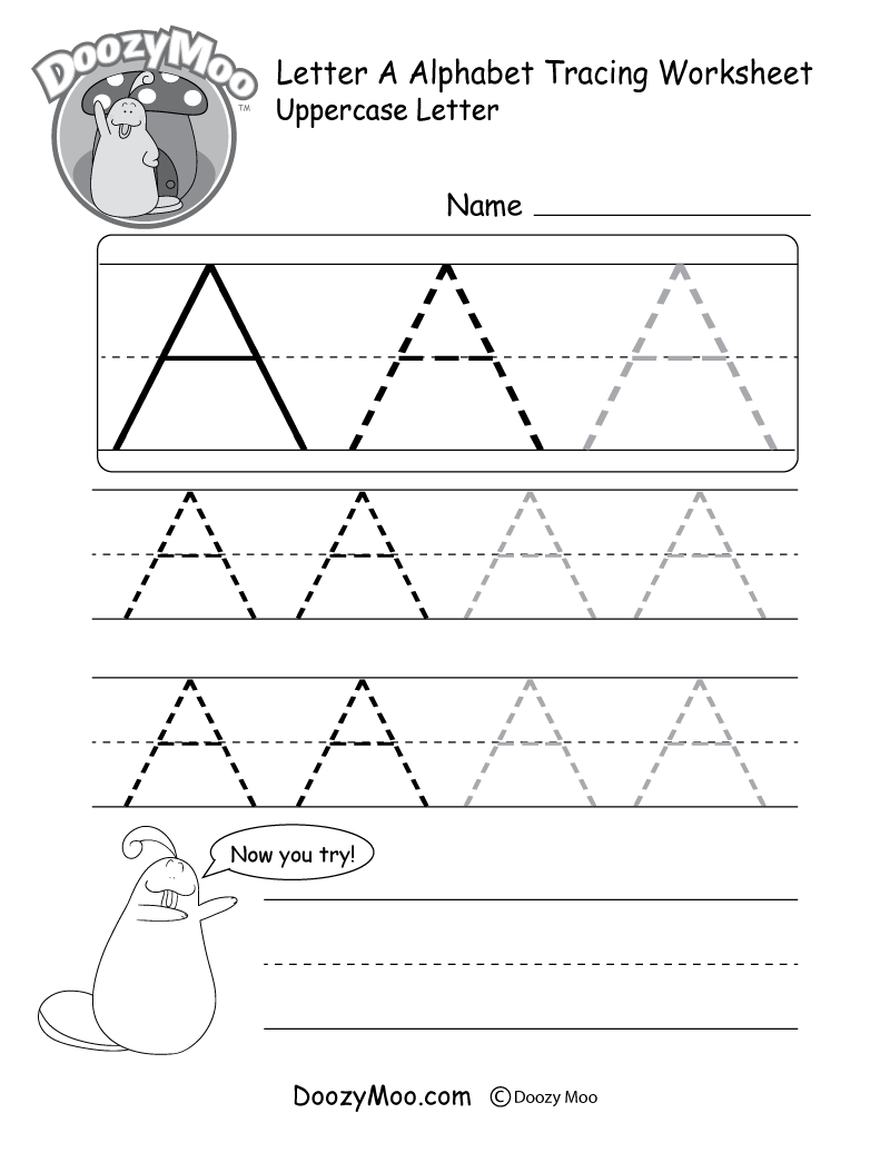 Uppercase Letter A Tracing Worksheet Doozy Moo